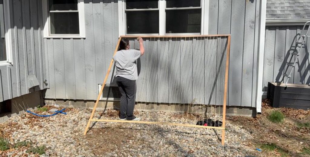 Garden trellis