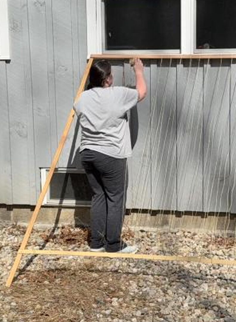 How I built a Garden trellis