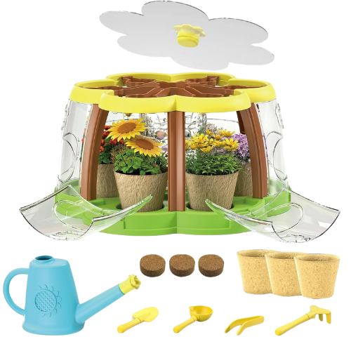 Kid Friendly Summer Activities